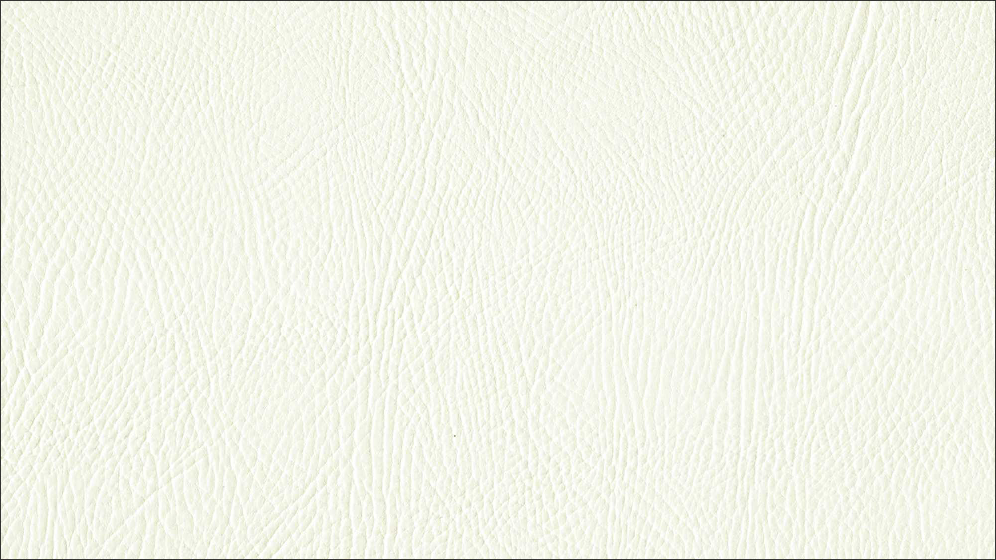 PEGASUS - PEG-1613 - Brilliant White